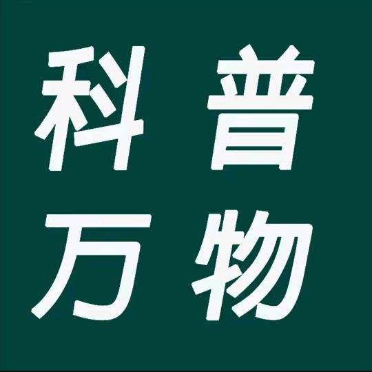国际局势