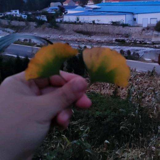 有缘还未见面