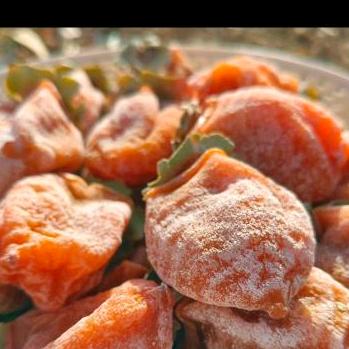 富平县曹村柿饼