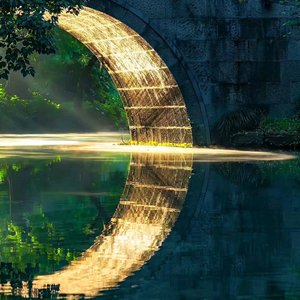 江狸（努力日更版）