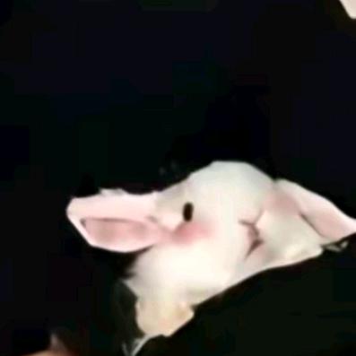 琪舞我爱你啊啊😭
