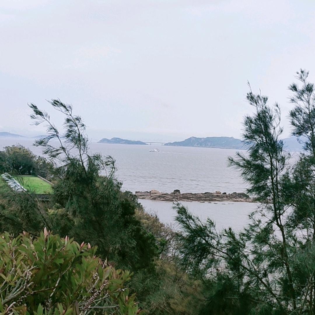 俊姐