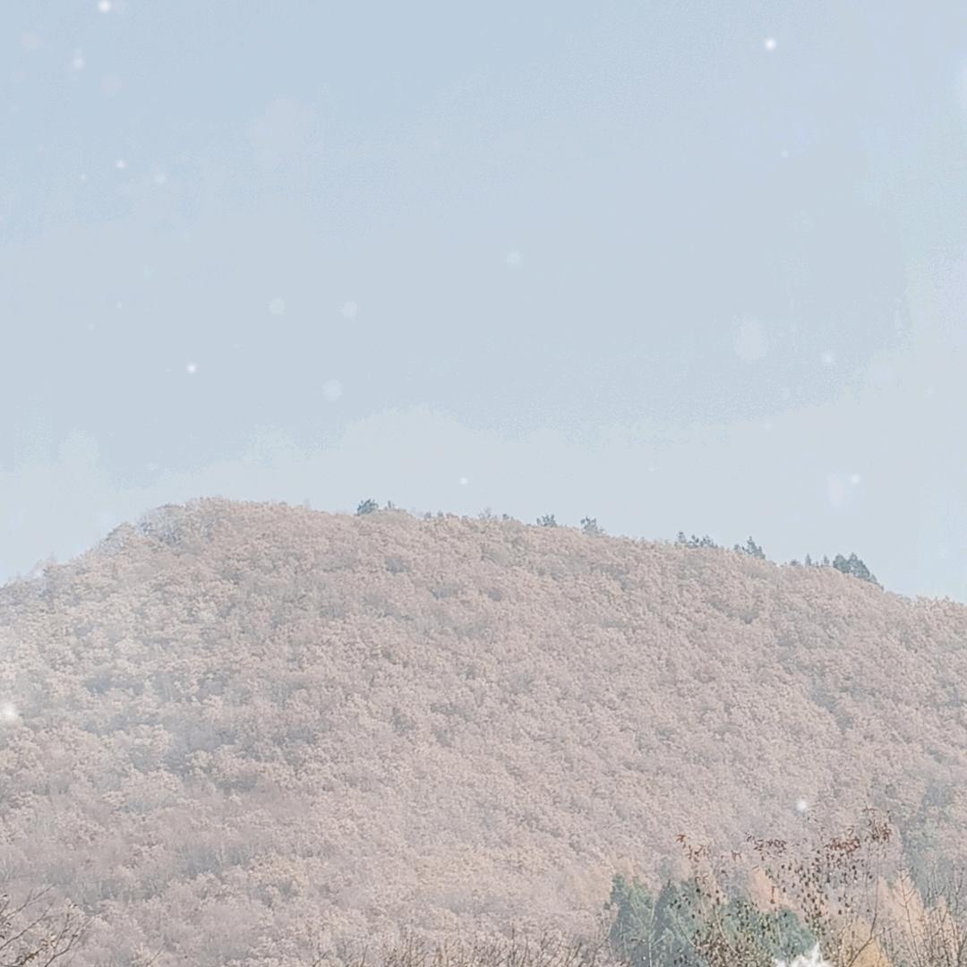 ღ᭄💞赵李说的做໑ຼ₀₂₃💕