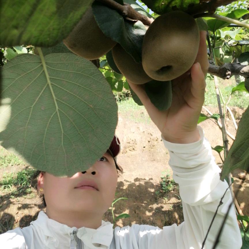 满满美食