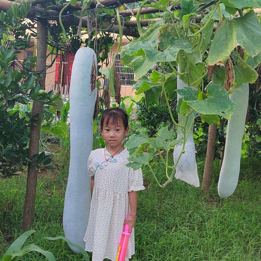 人生如梦