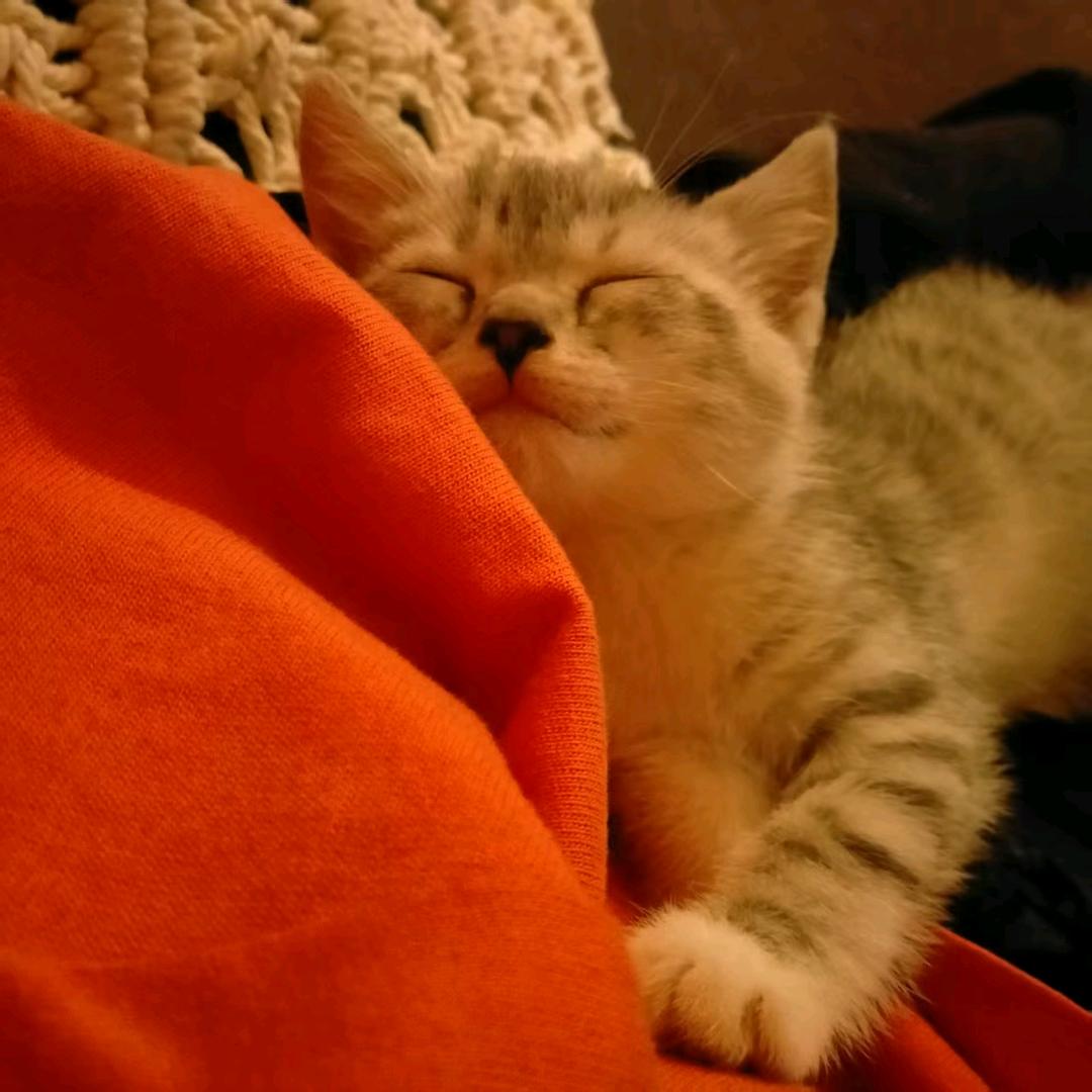 我可要狠狠控制你了