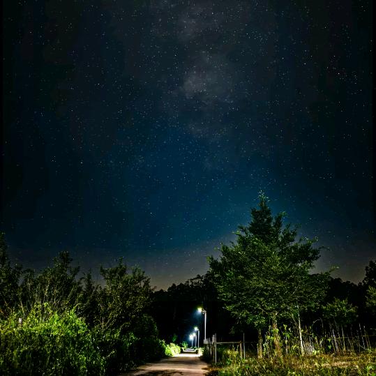 Starry✨