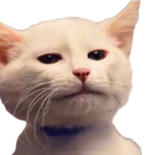 年愁今夜未到乡