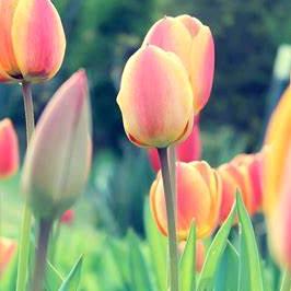 小幸运( ˘ ³˘)❤