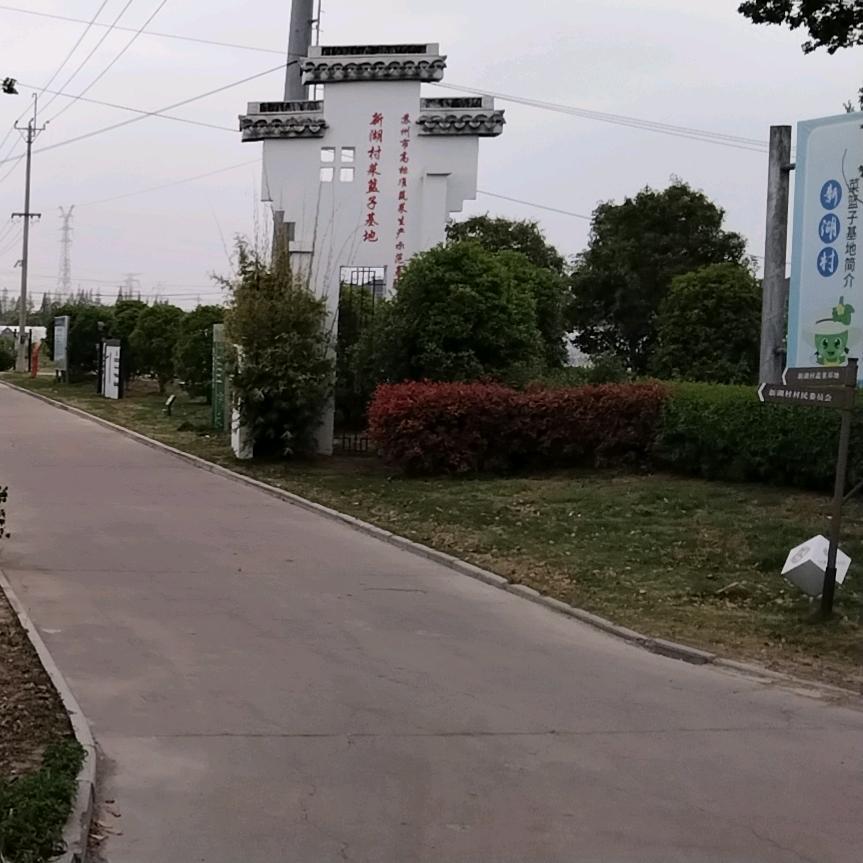 妞妞妈