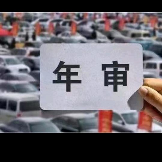追光的人（专业审车）