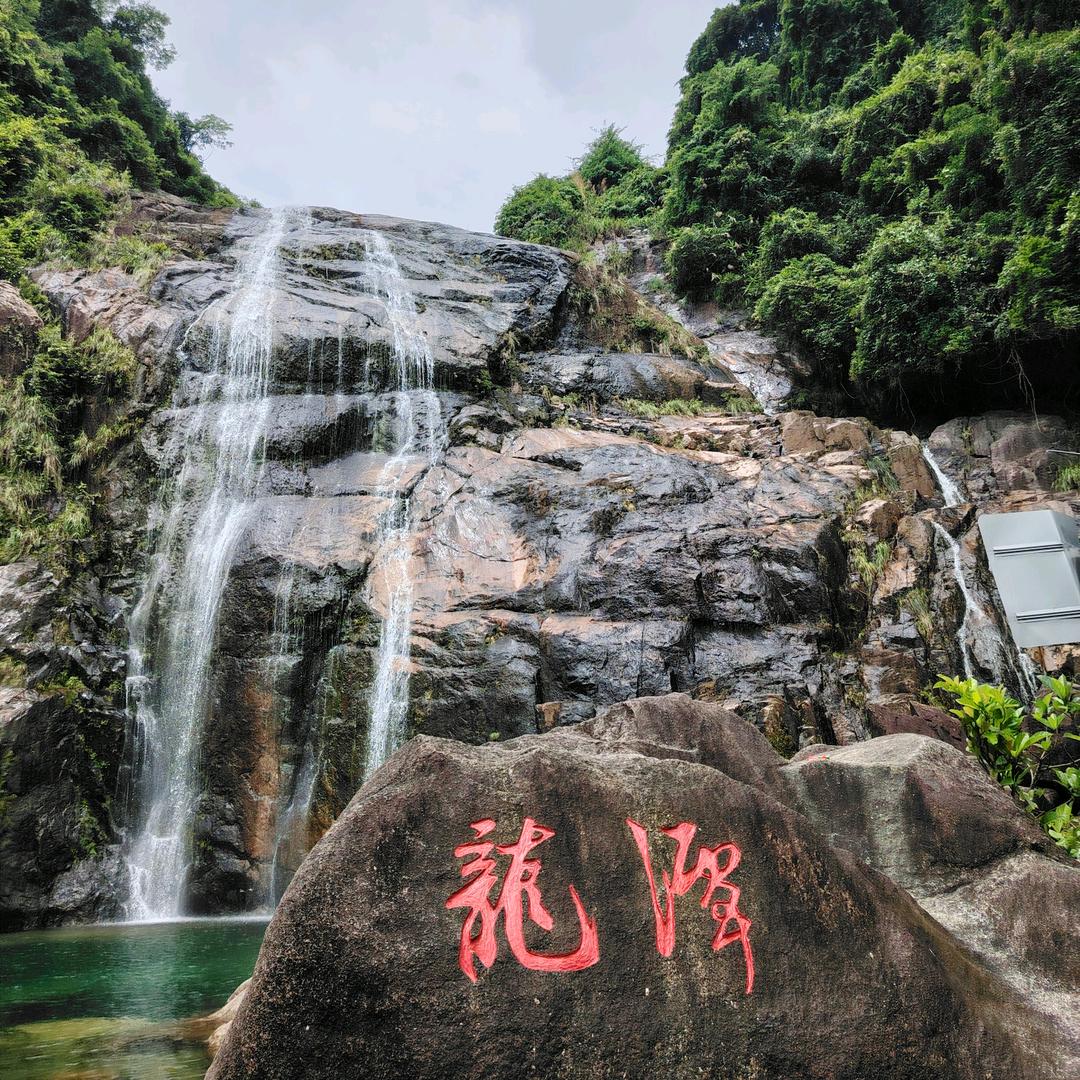 凤凤