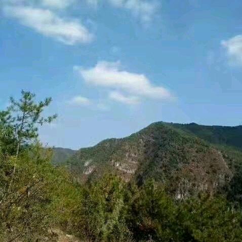 🔥华阳二哥🔥