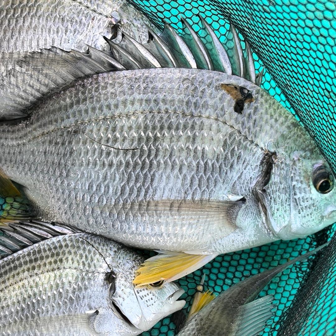 中国海域  钓鱼