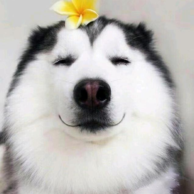 不讲道栗🔥⁷⁰⁷🍀