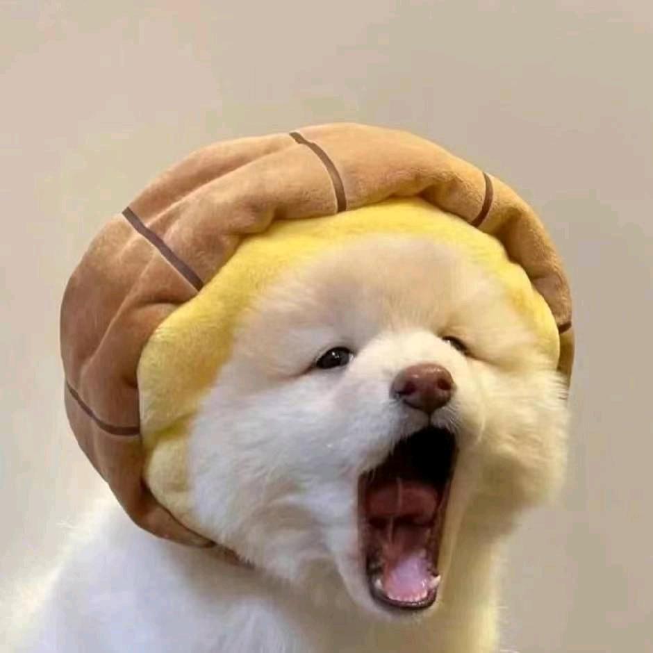 百乐便利店👿