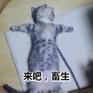 东阳吉祥物