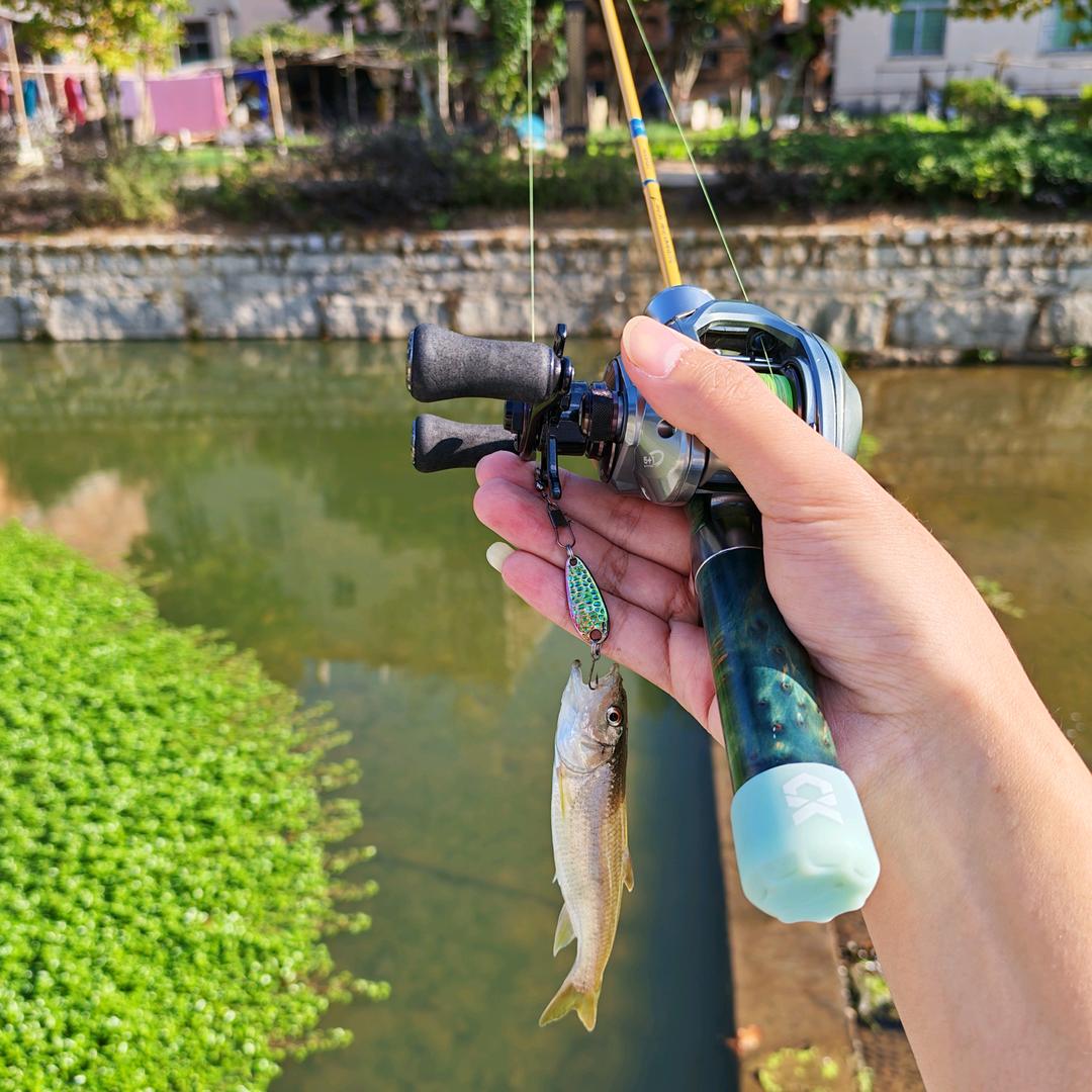 🎣哪有傻鱼吃铁片🎣