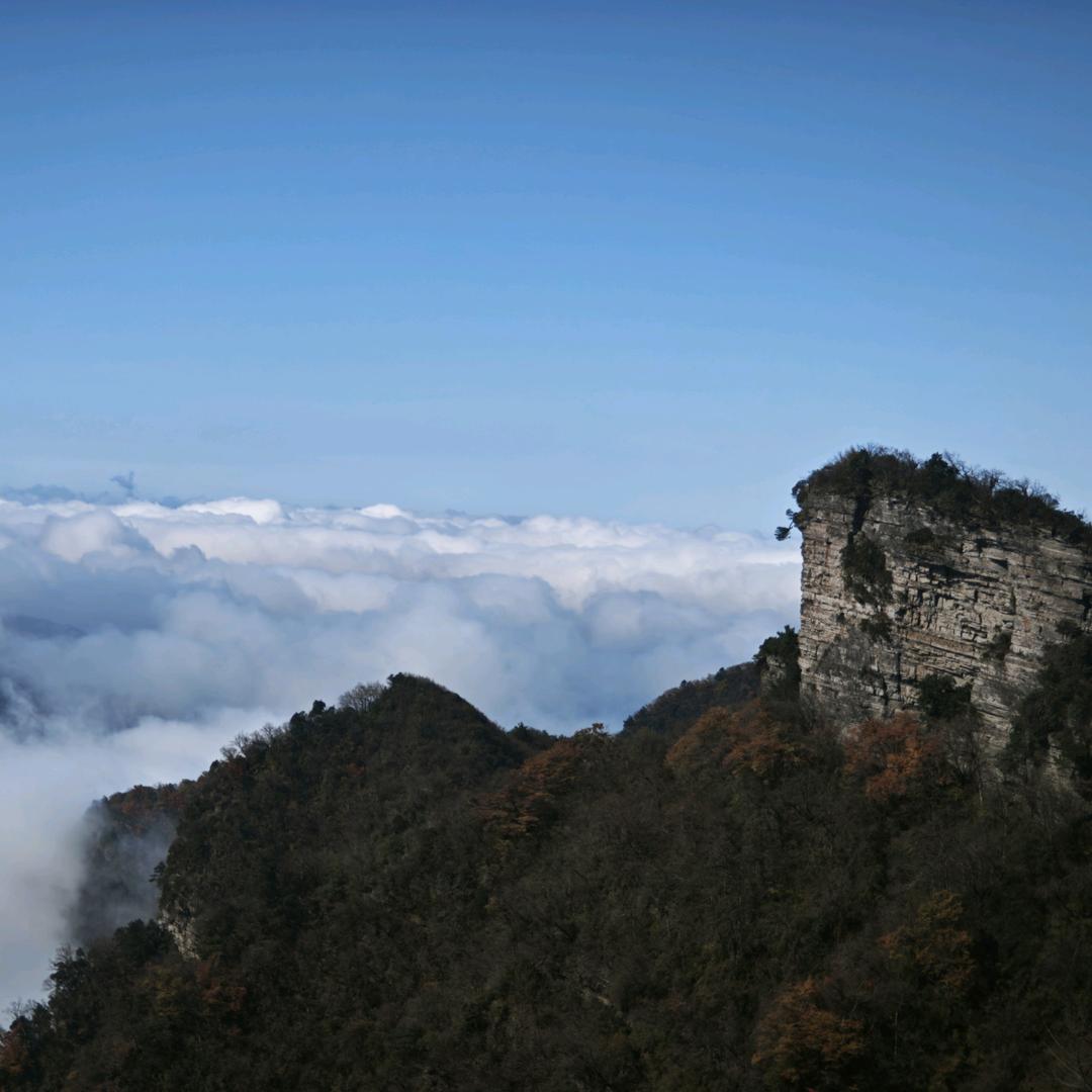 心如止水⁷¹⁷