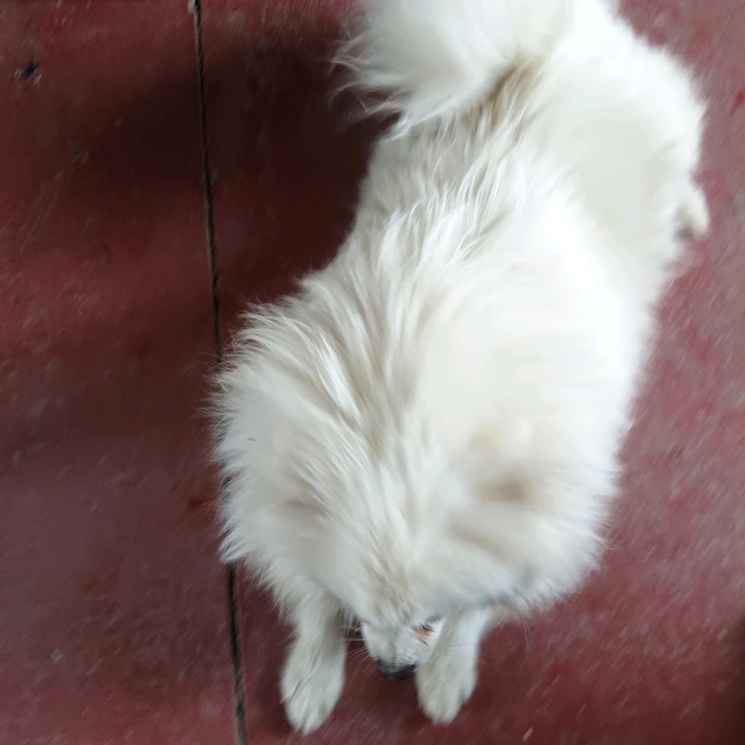 沉( •̥́ ˍ •̀ू )雪