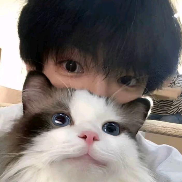 爆炒酸辣番茄土豆泥