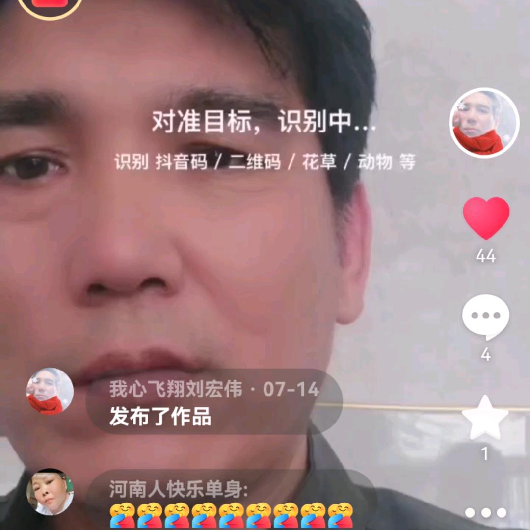 我心飞翔刘宏伟