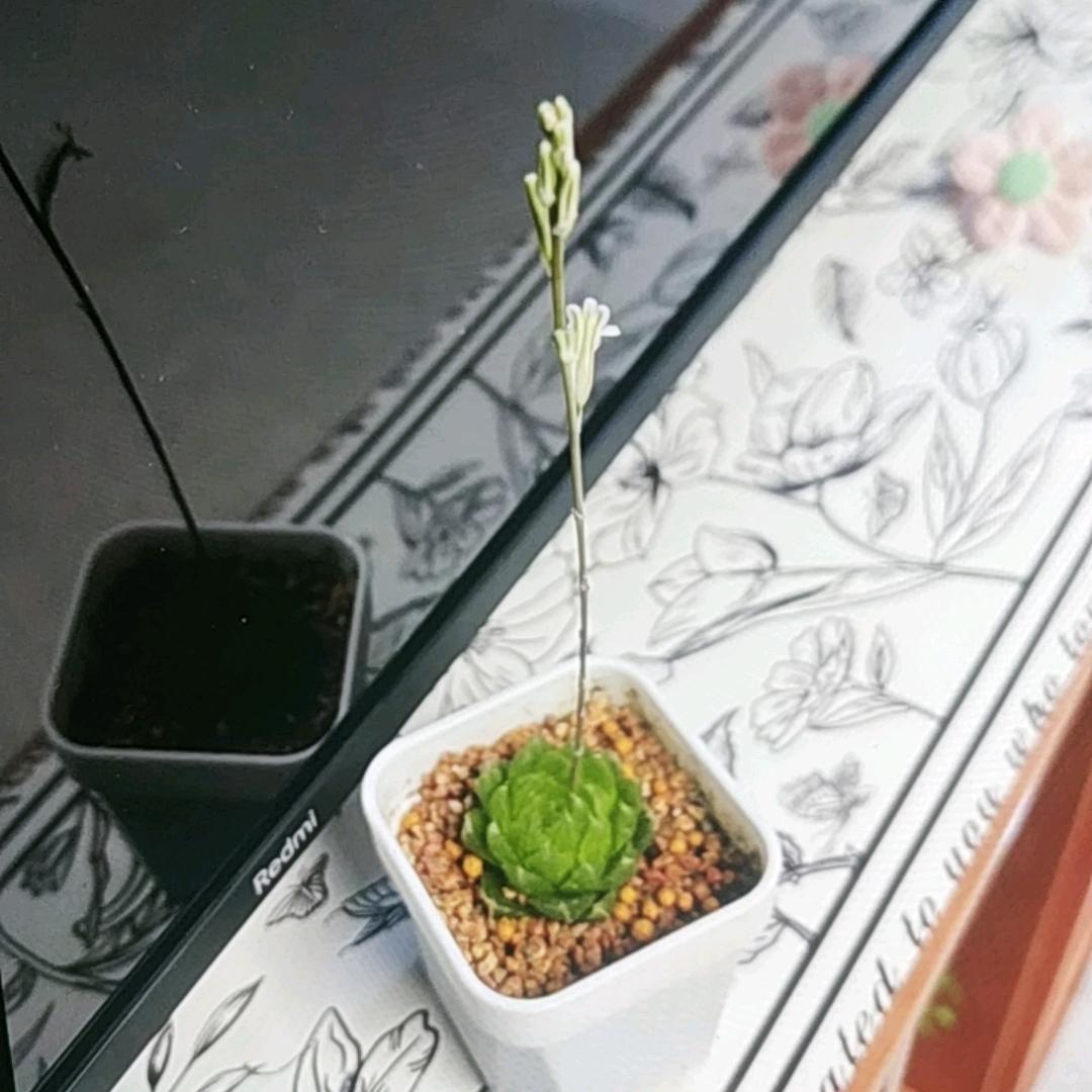 美加美便利店美加美百货号