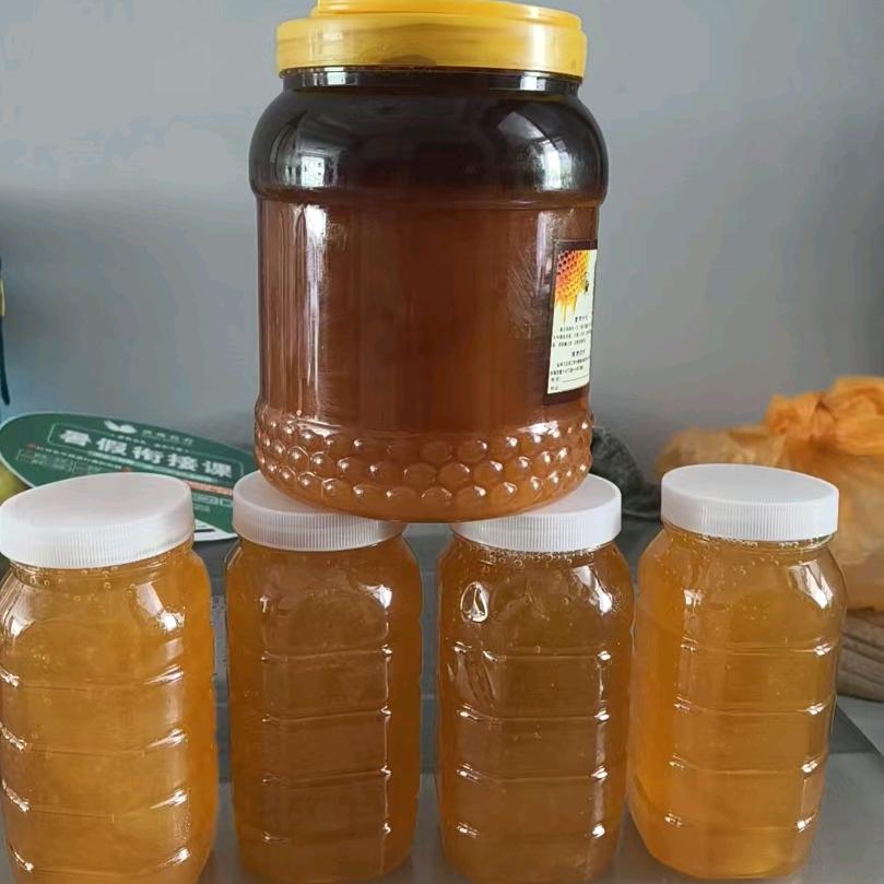蜂蜜姐姐