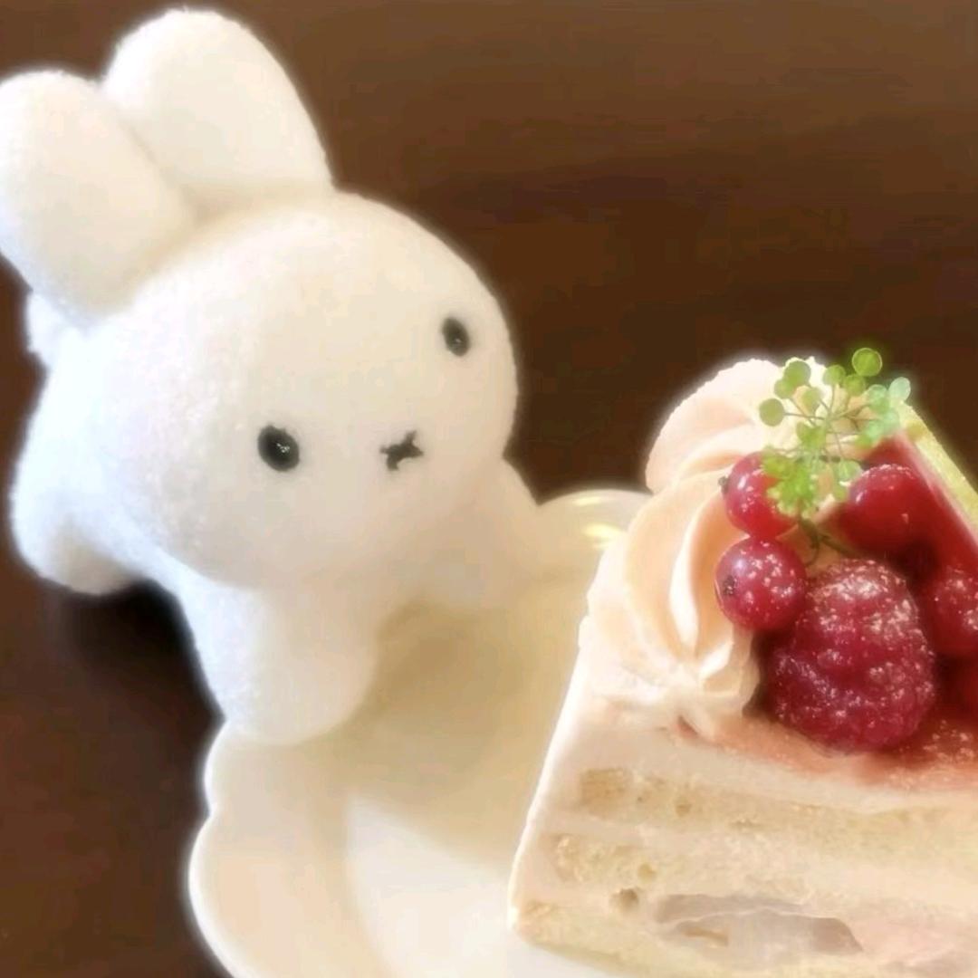 bunny