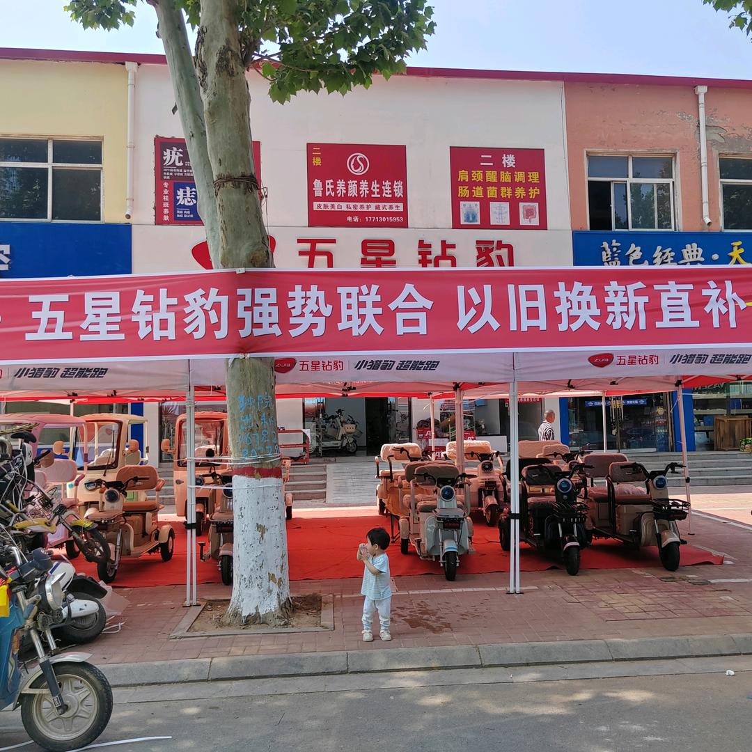 成安县五星钻豹电动车-