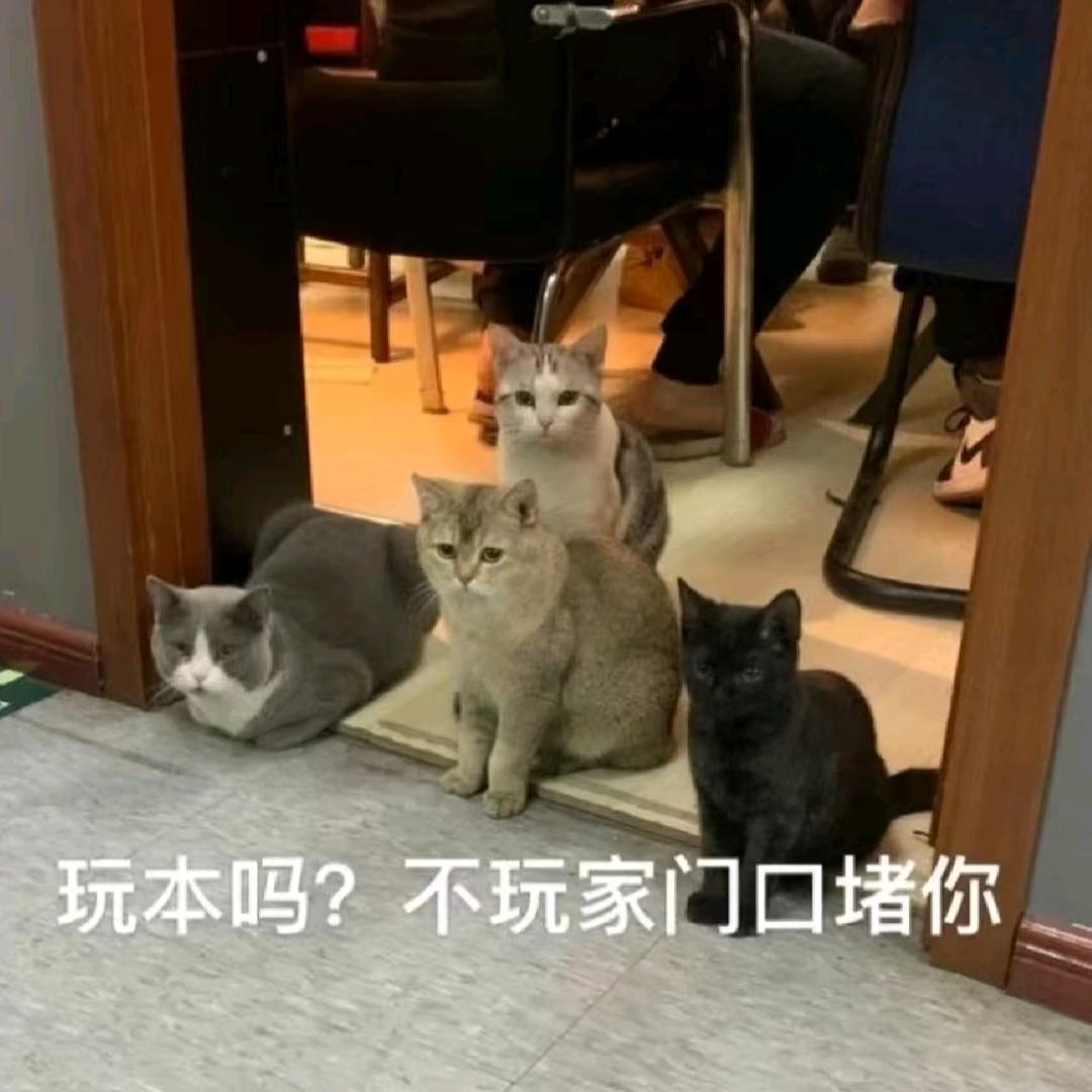 染上剧本杀这辈子完蛋了