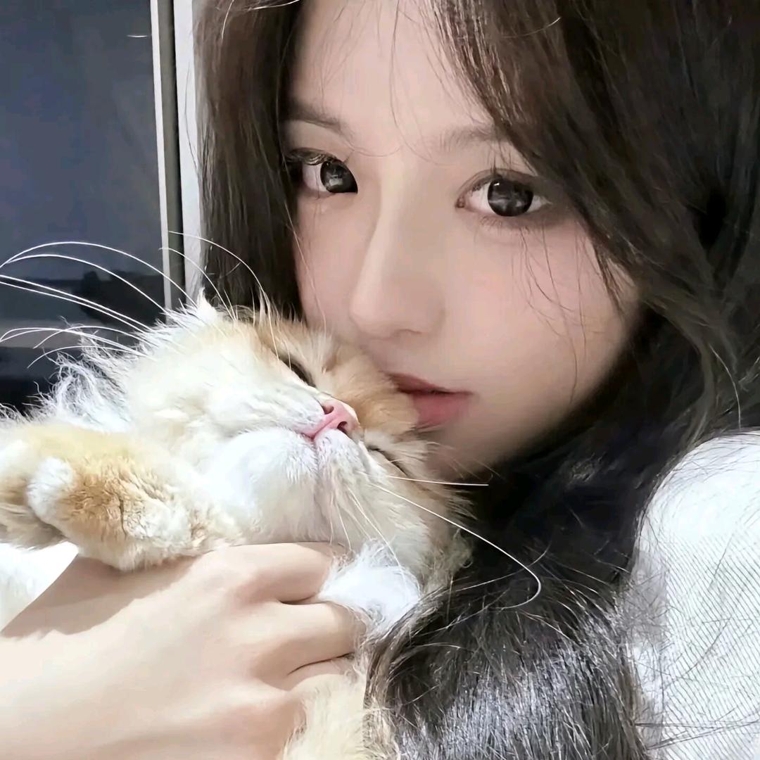 可爱小熊