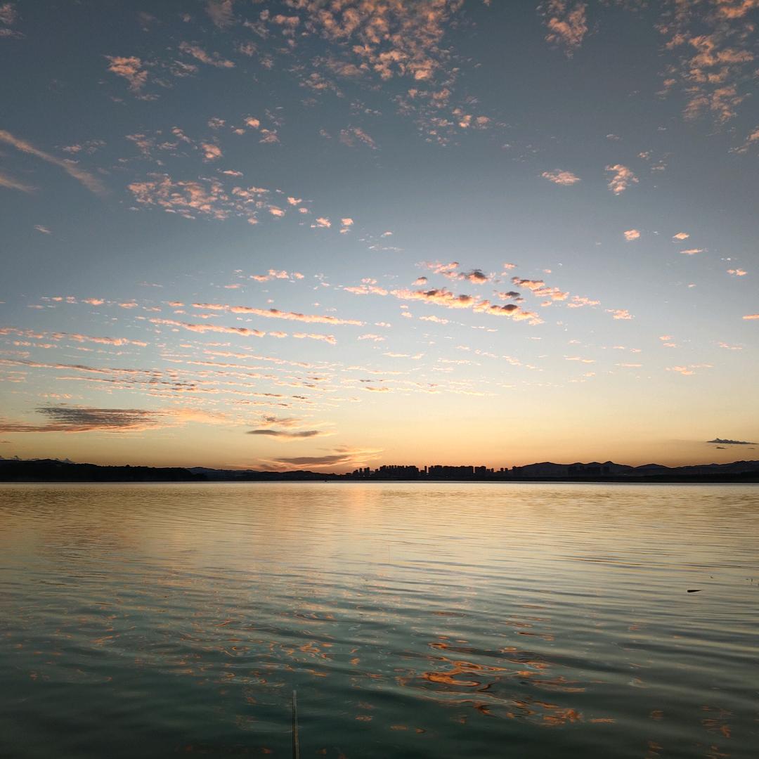 听闻余生（王）