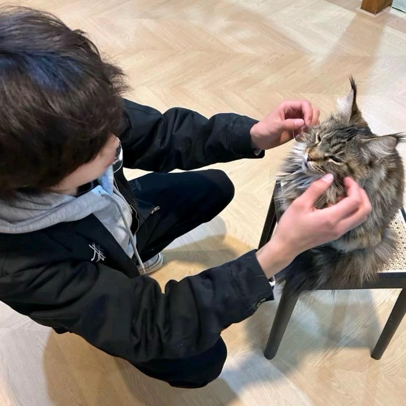 什么真好笑