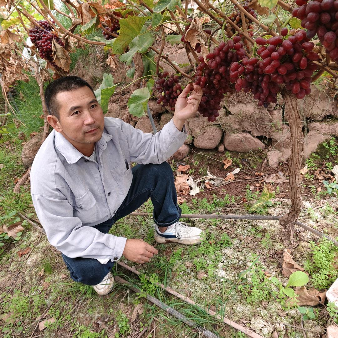 ༒单身 💓 桀哥༒