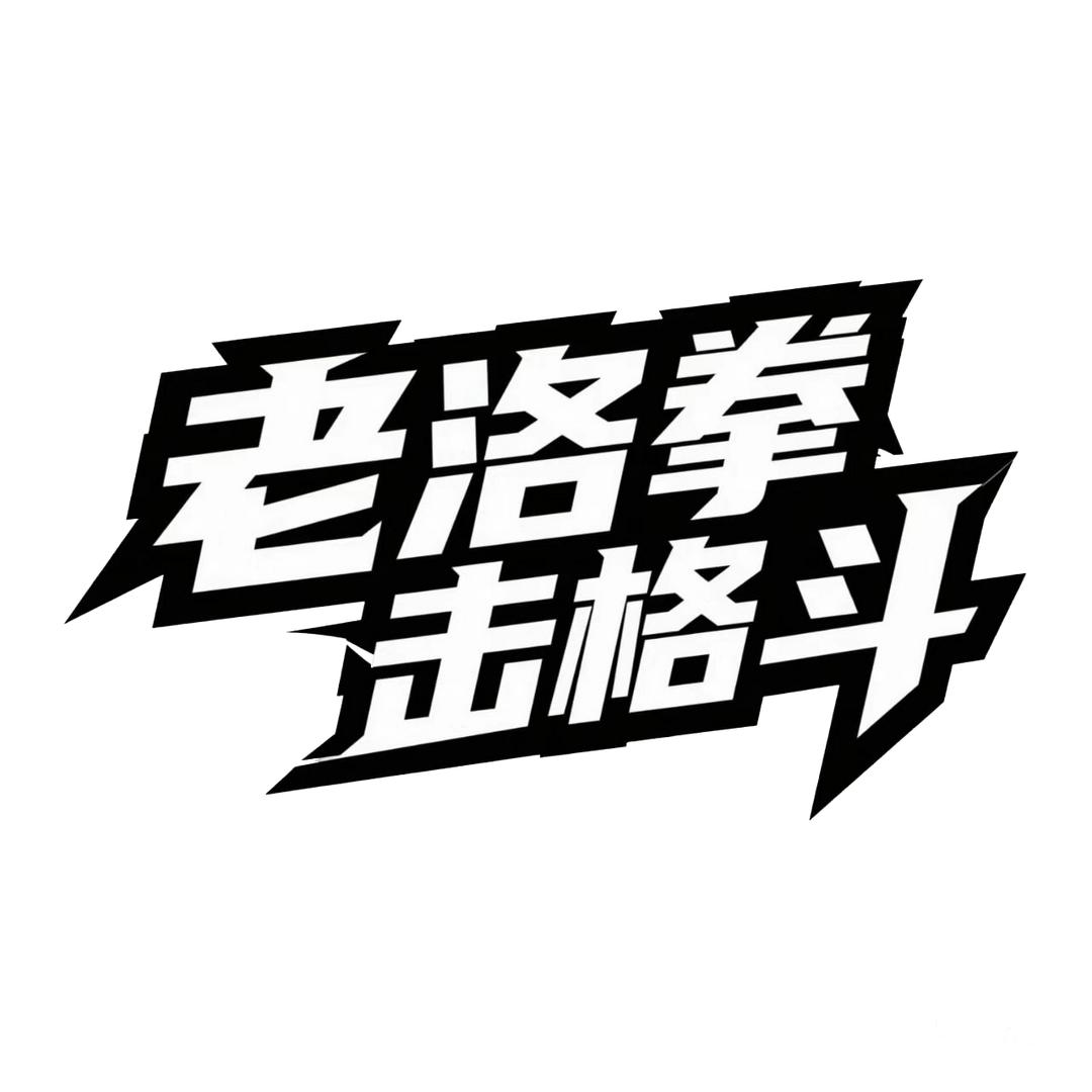 老洛拳击格斗