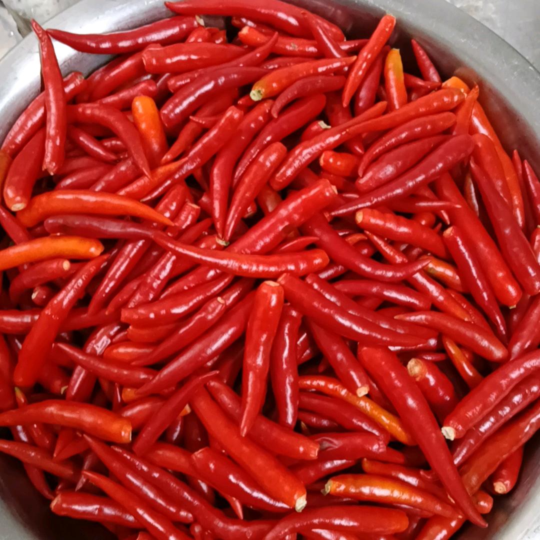 永不止步  〈回收废品〉