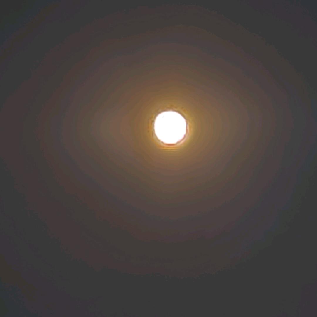 小优