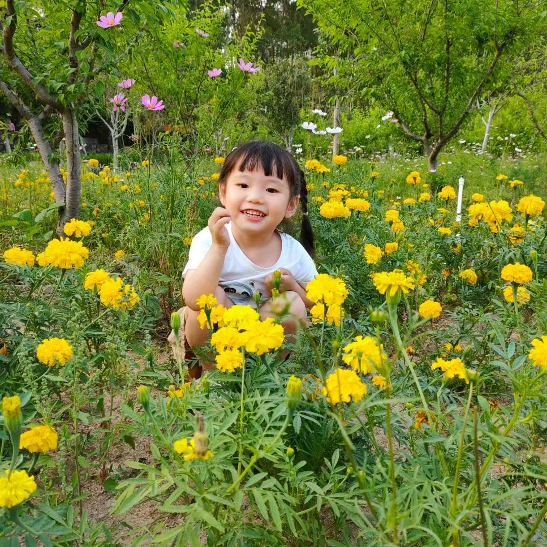 友情🌹友意