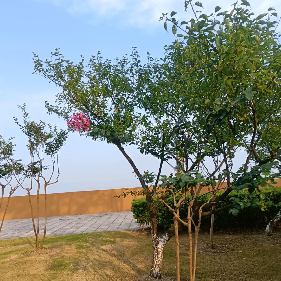 🍒余生🍒🍒随心🍒