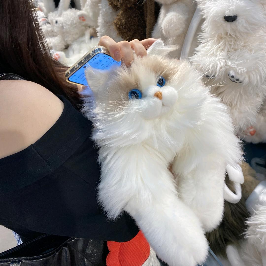 茜茜｡◕‿◕｡