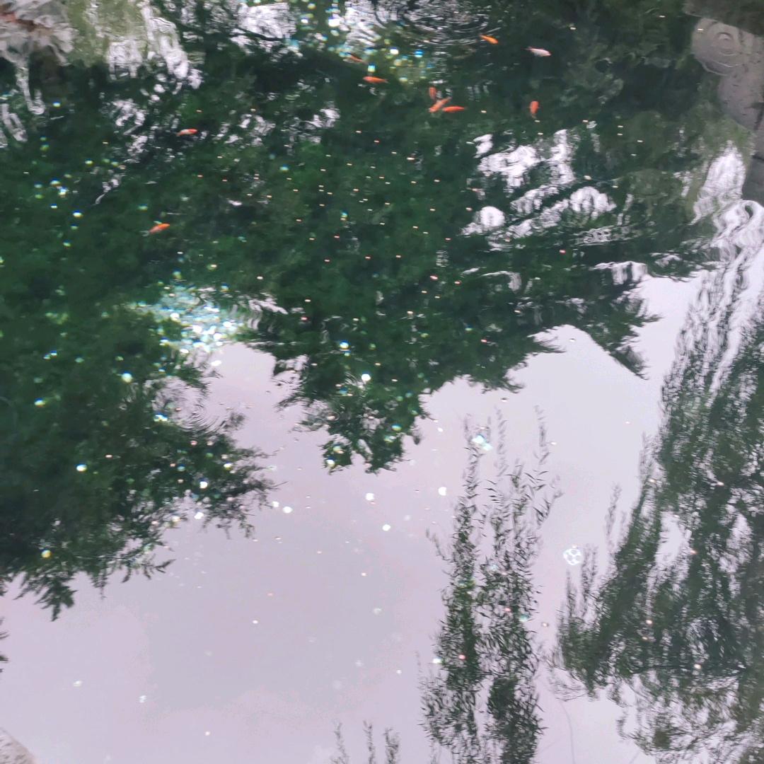 夏妹