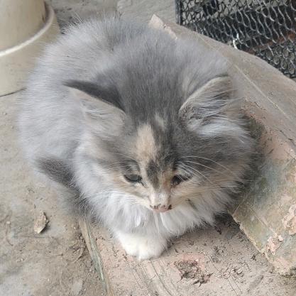 妈妈和闺女❣️