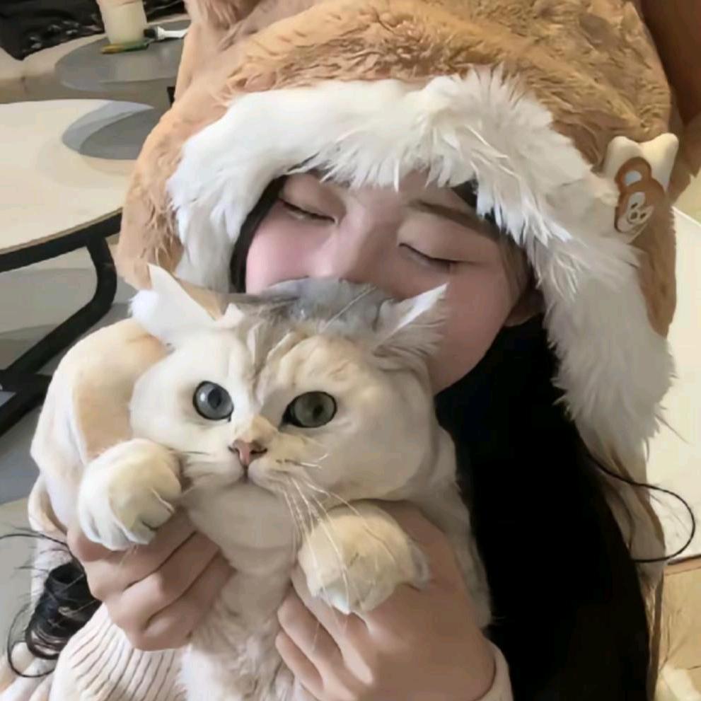 我会发财的