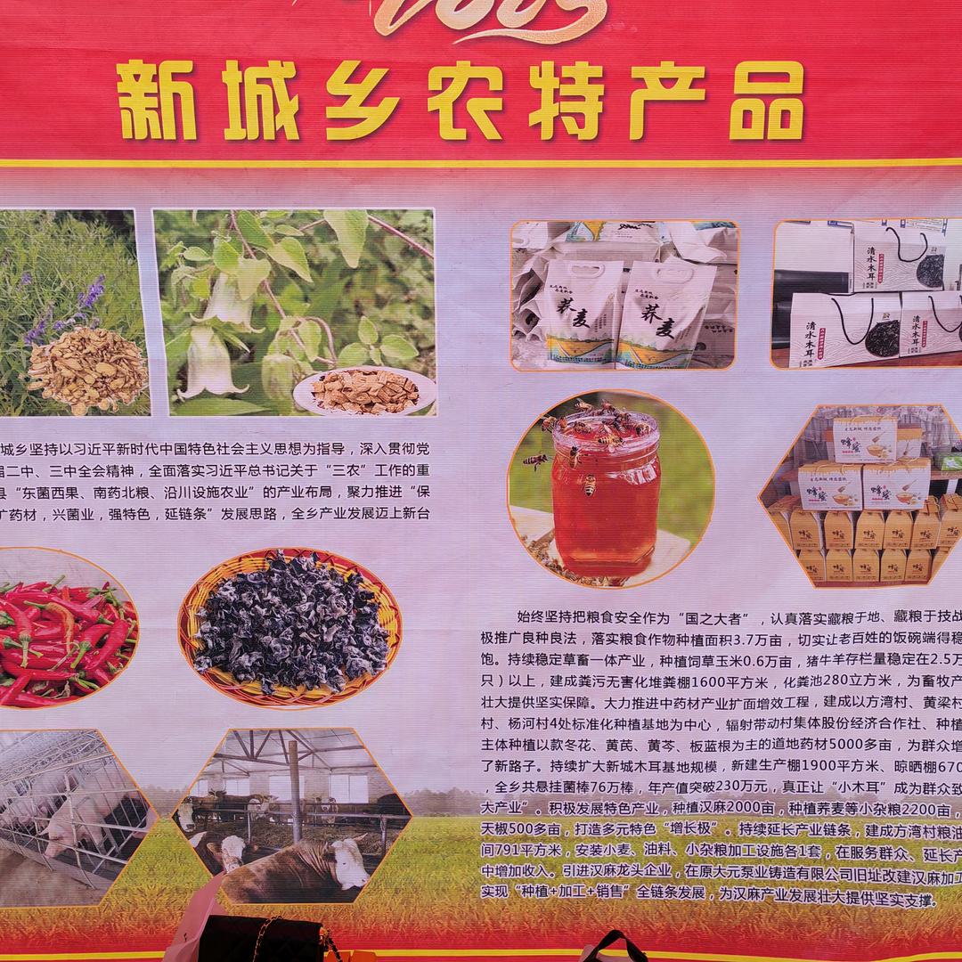 轩辕故里，生态新城亮剑直播间