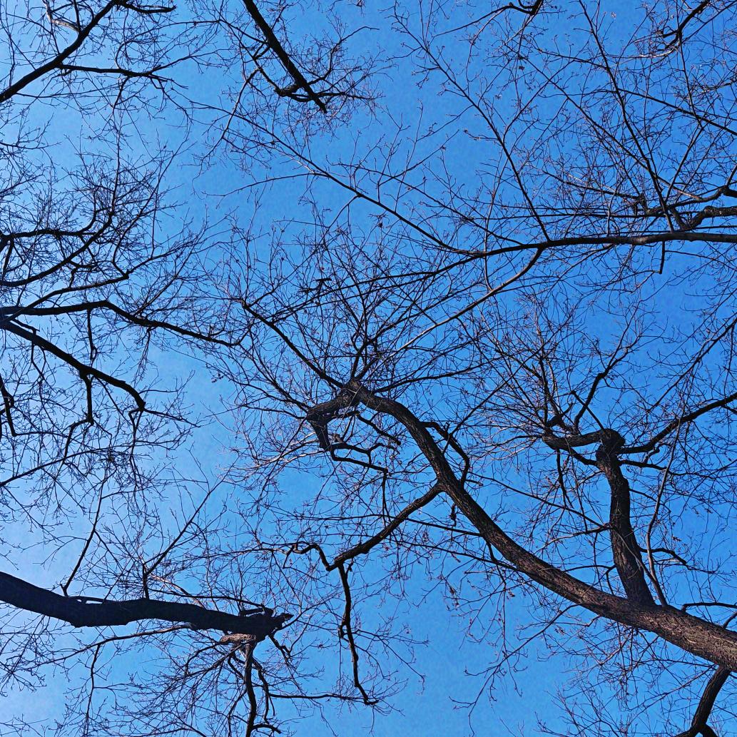 鱼儿鱼儿快快游