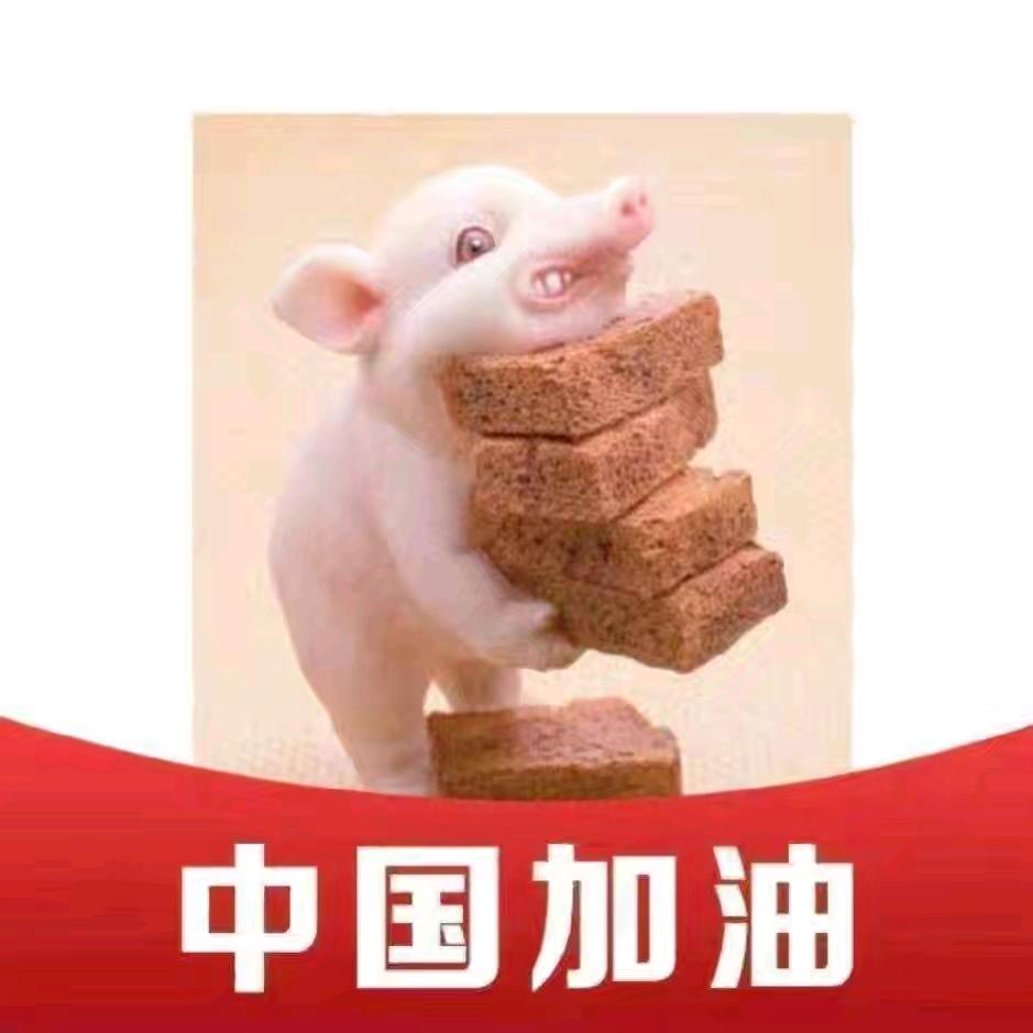 不能再懒了呀