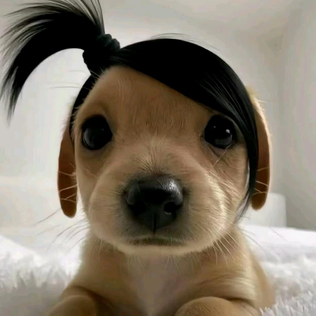 成年人的世界。