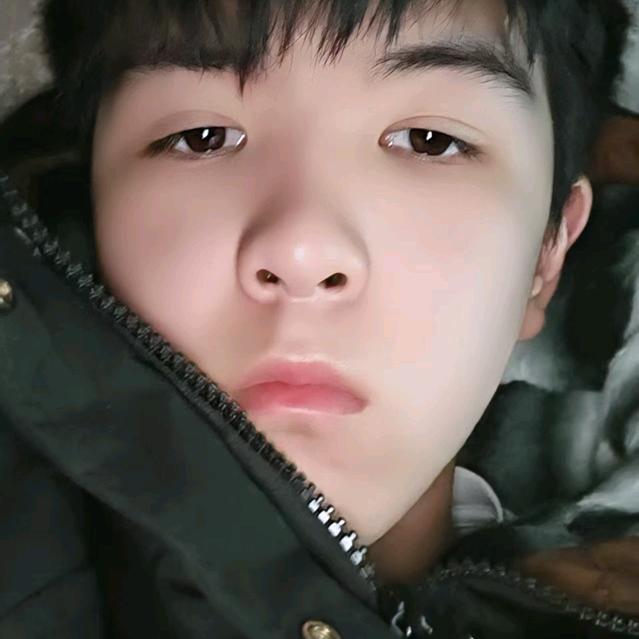 维修大小货车发动机