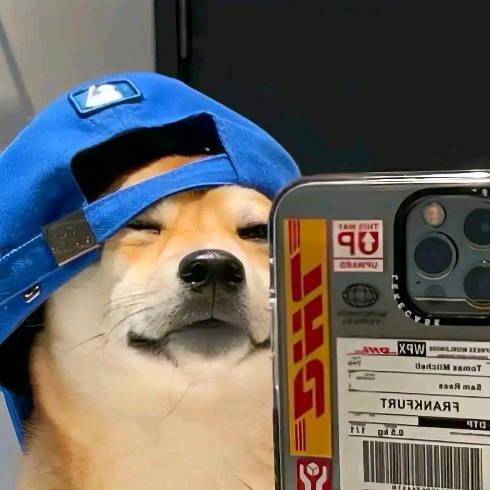 从来不听水星记